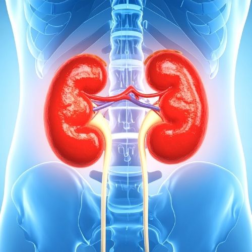 Incomplete Bladder Emptying